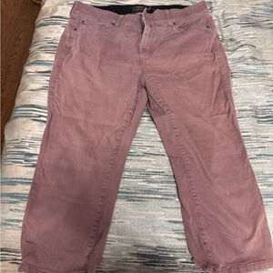 Torrid Mauve Capris sz 18